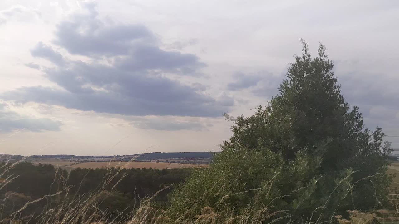 tiro de carro lateral de árboles de colinas de la campiña inglesa con nubes dramáticas dorset uk 4k