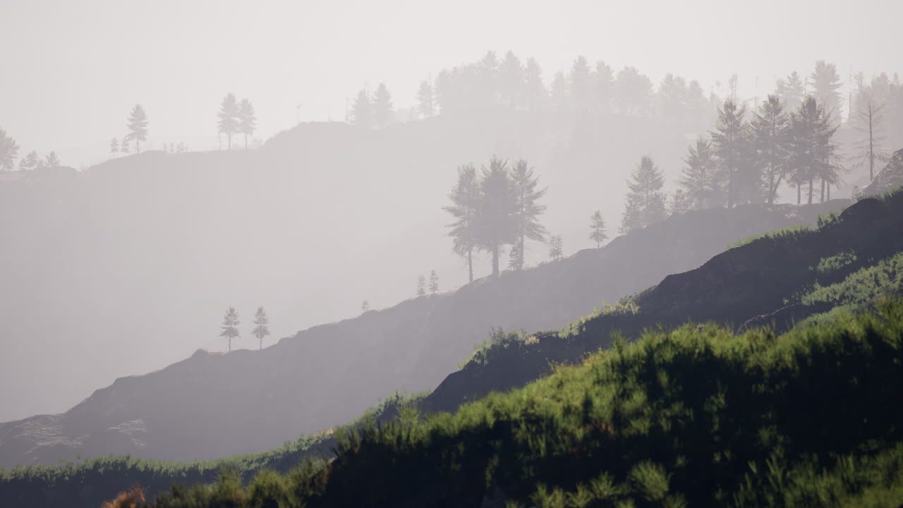 paisaje de bosque de montaña brumoso