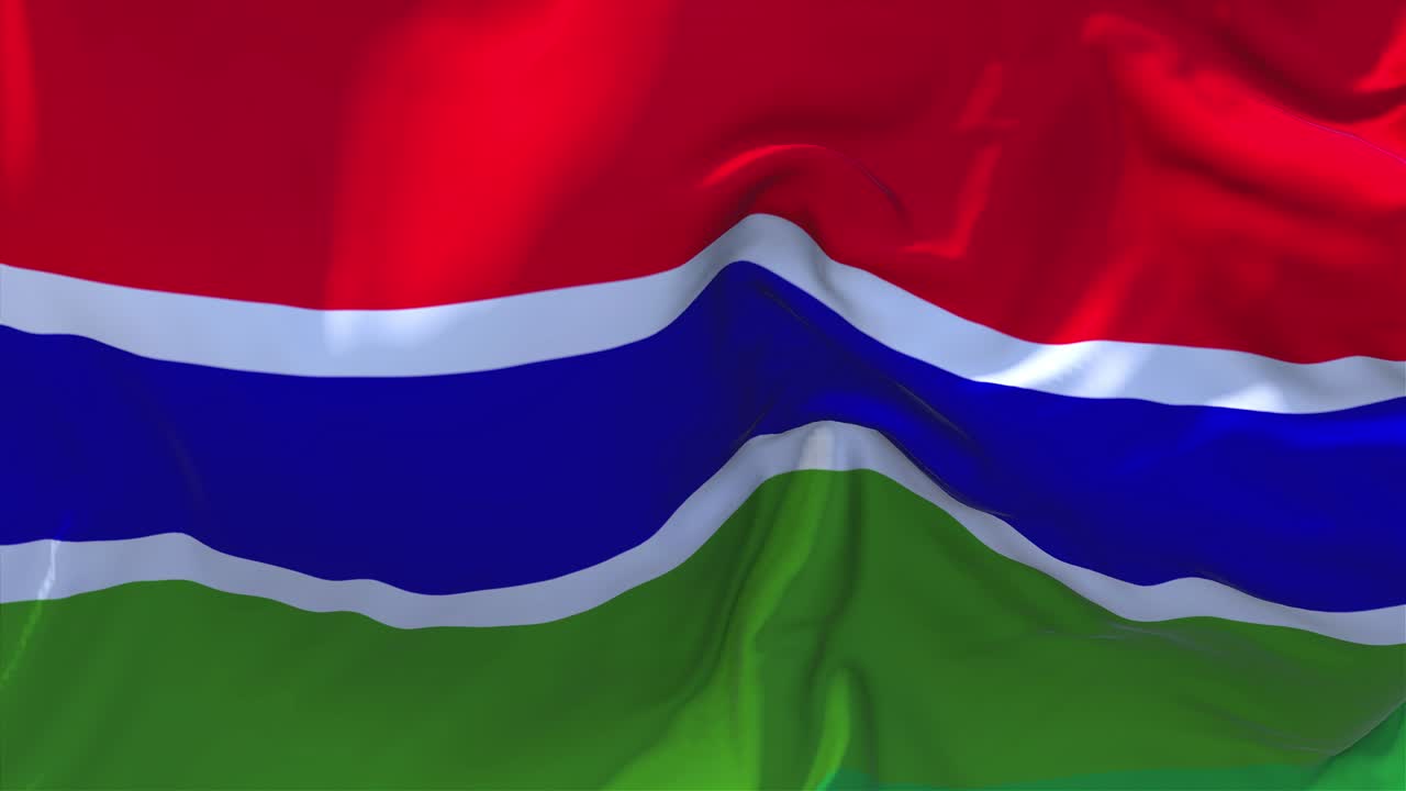 감비아의 발을 흔들고