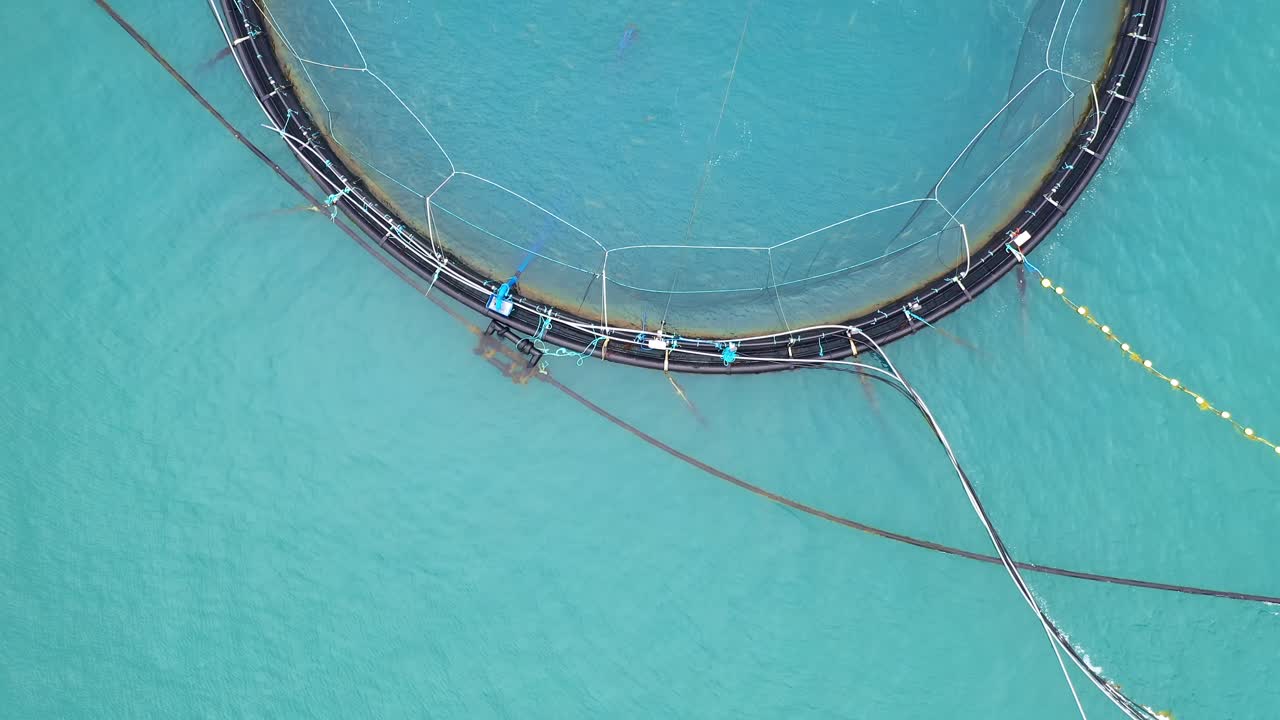 노르웨이에서 연어  ⁇ 시를 하는 공중 촬영