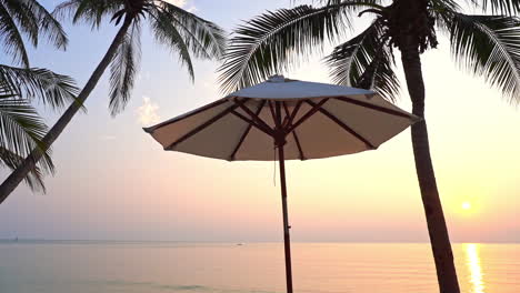 a single beach umbrella stands under palm trees as the sunsets over the ocean waves