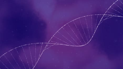 Animation-of-dna-strand-spinning-and-data-processing-over-purple-background