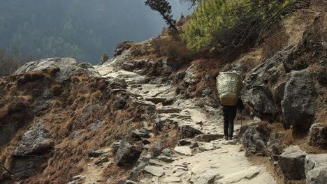 person walking along trail in nepal carrying large basket.