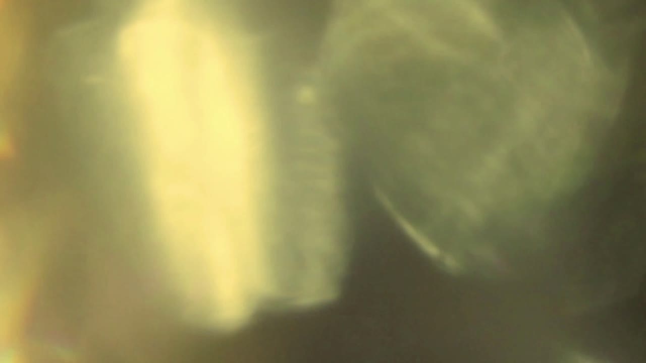 Abstract Golden Light Leaks and Lens Flares Shifting