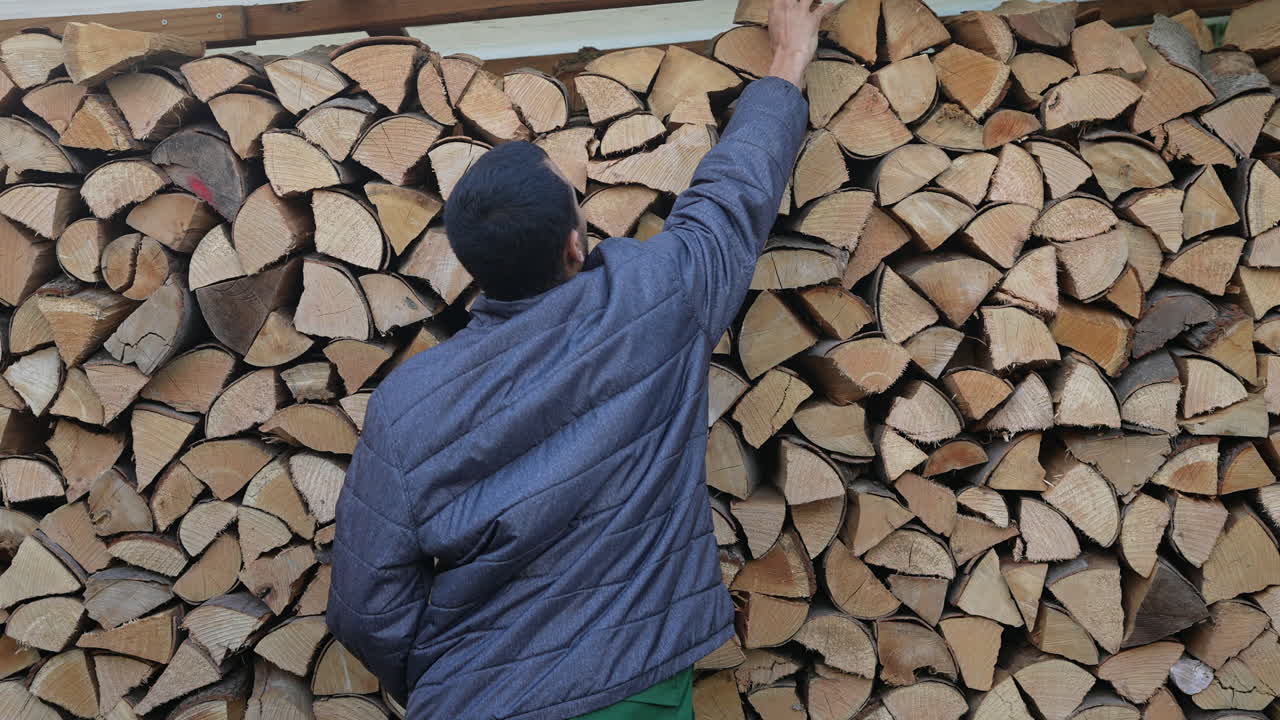 colección de madera para el invierno