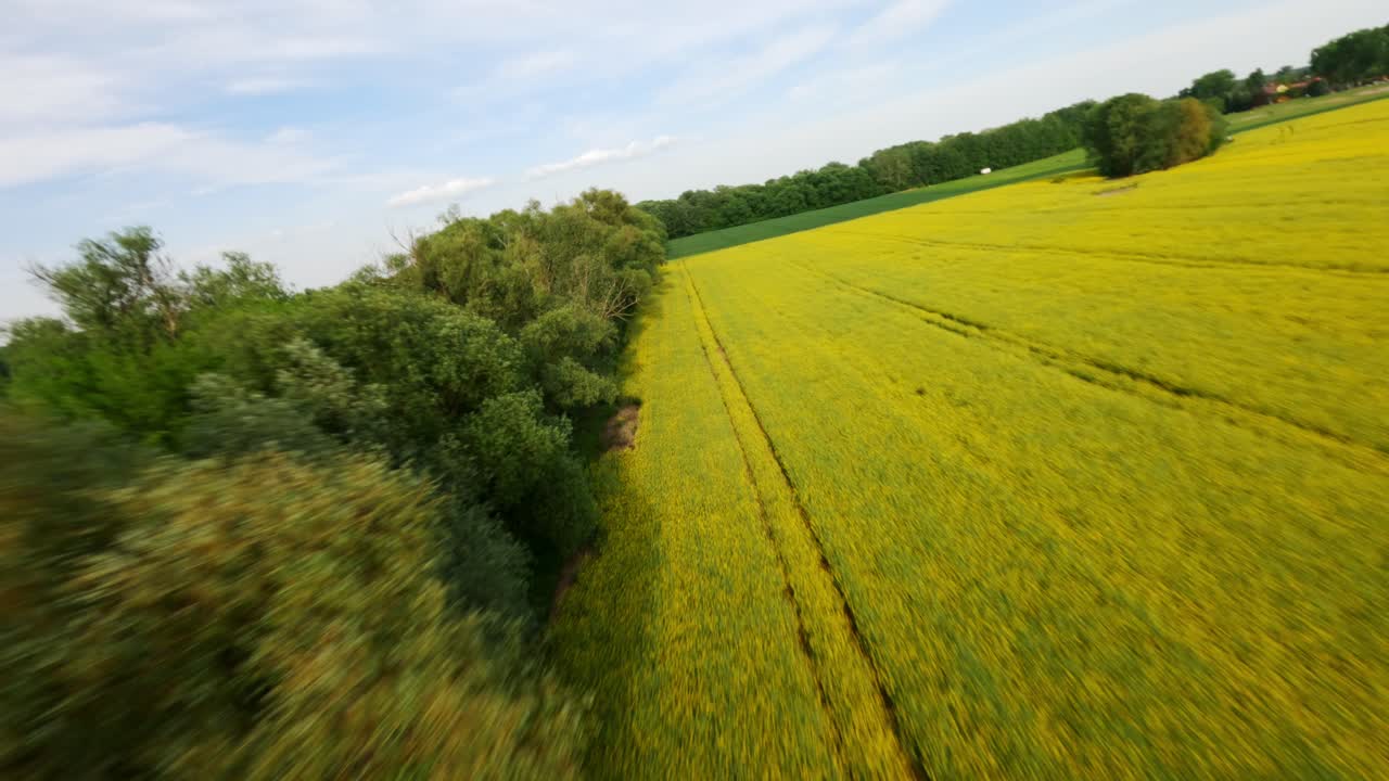 폴란드의 을 분리하는 숲 부분에 더 가까운 파노라마 측면 공중 움직임