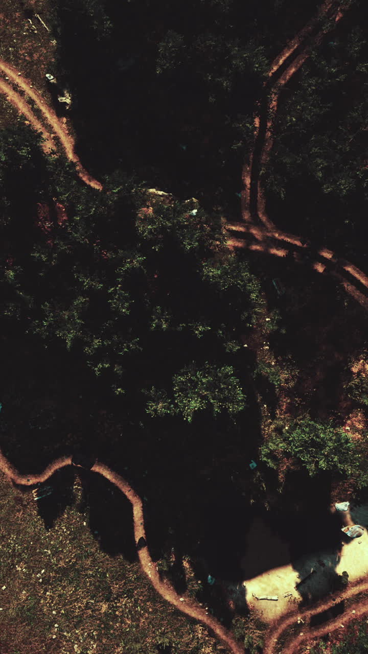 vista aérea del sendero forestal