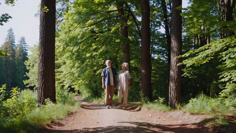 senior couple walking in a forest