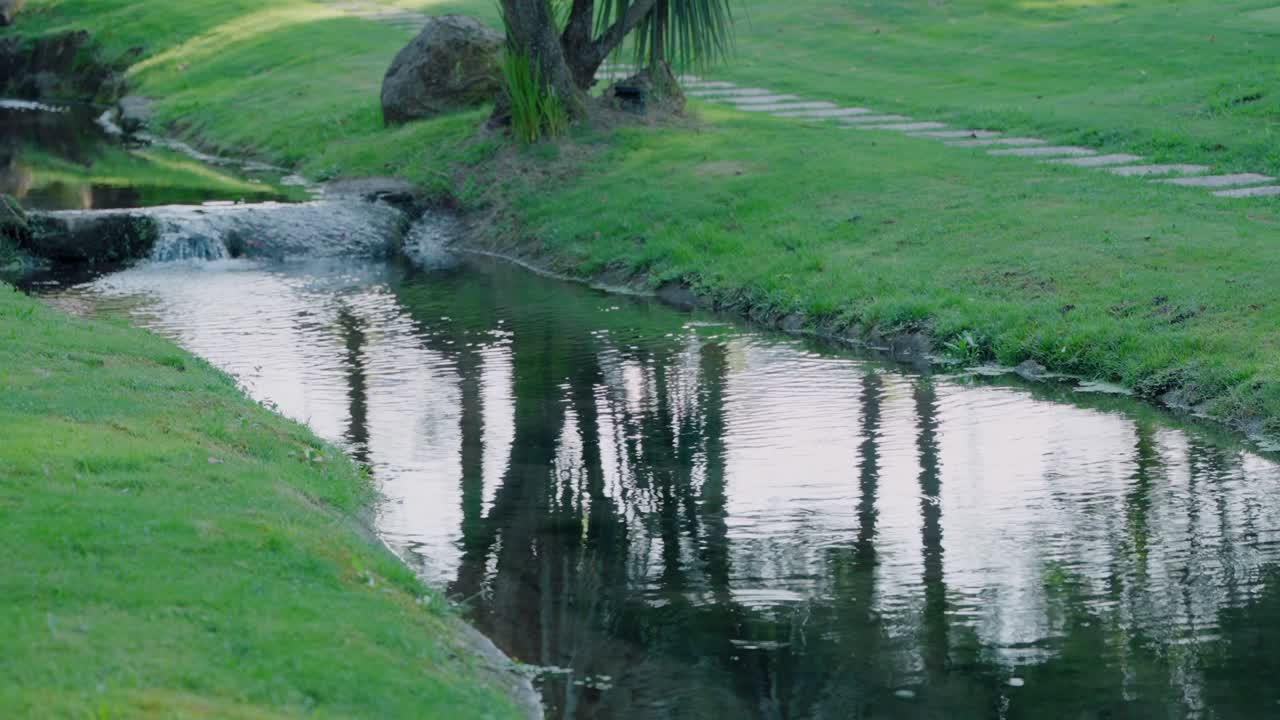 작은 하천과 부드러운 파동은 근처에 나무와 함께 녹색 잔디 지역을 통해 흐른다