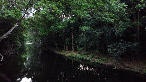 dark-and-gloomy-creek-crossing-dolly-right-in-cairns