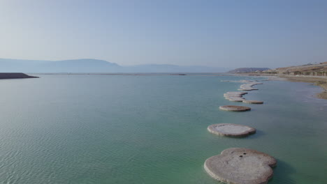 the popular round salt mushrooms that form near the shores of the dead sea