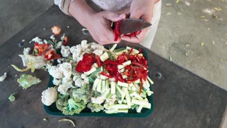 cutting colorful vegetables by hand on a table, preparing a meal