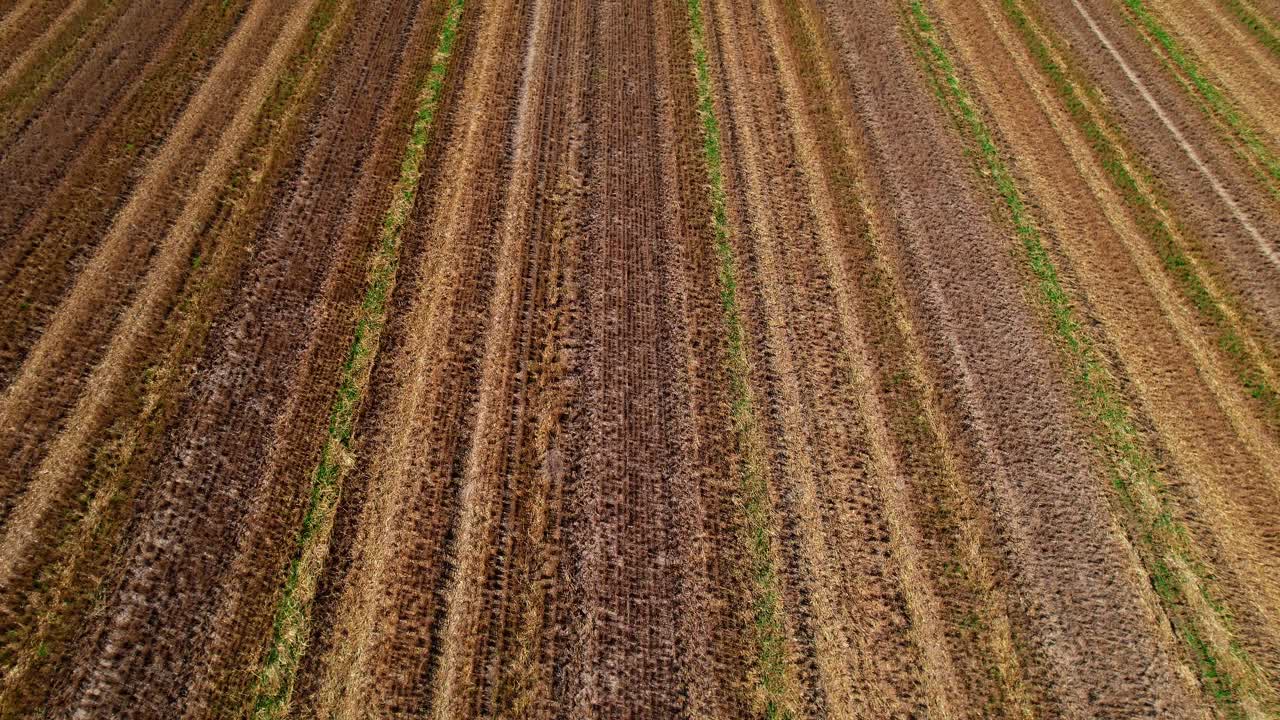 농장 분야에서 경작된 토양의 줄 위로 비행