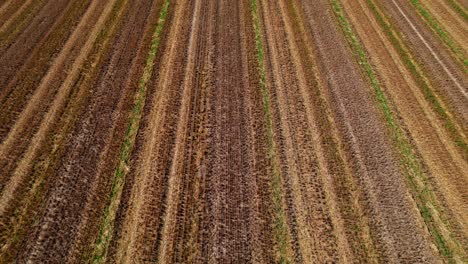 Flying-Over-Rows-Of-Cultivated-Soil-In-Farm-Field