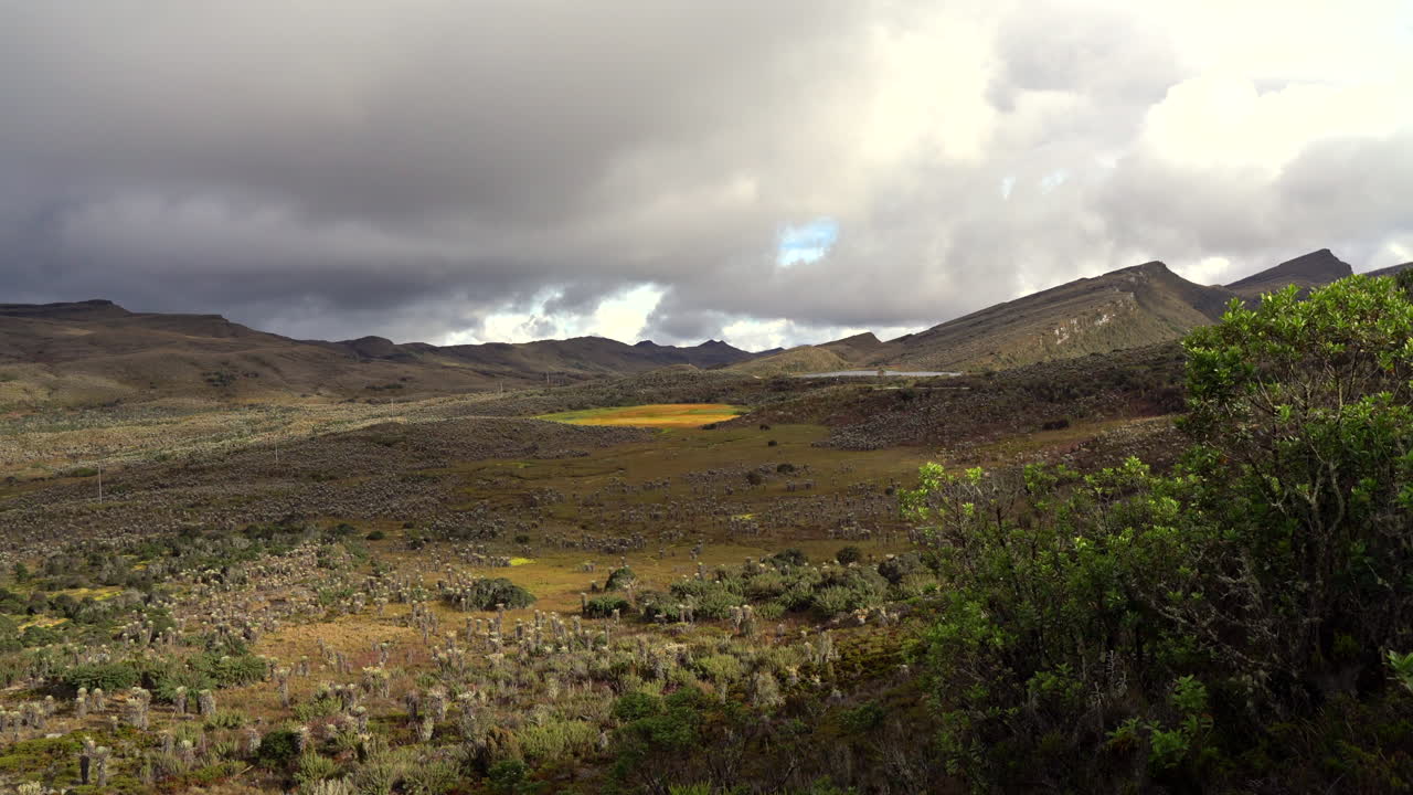 Video pan of Sumapaz páramo with iconic frailejones and cloudy mountains, highlighting Colombia’s unique high Andean ecosystem