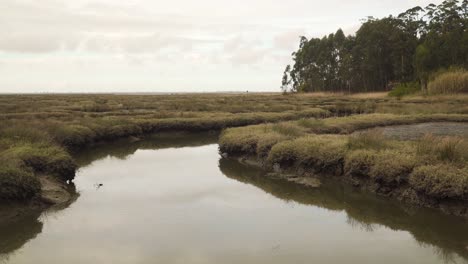 Lecho-De-Río-Fangoso-De-4k-En-Marea-Baja-Con-Un-Poco-De-Agua-Que-Fluye-Río-Abajo-Hacia-El-Océano