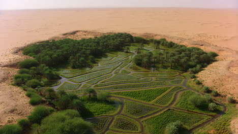 aerial view of a lush oasis in the middle of a vast desert