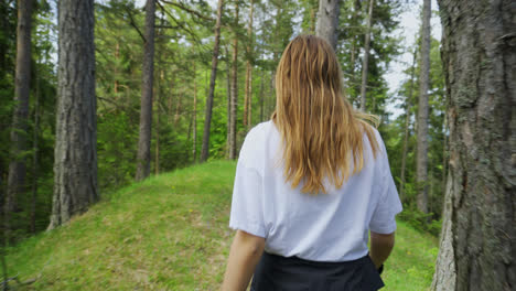 rear view of woman hiker on a hiking trip in nature - tracking