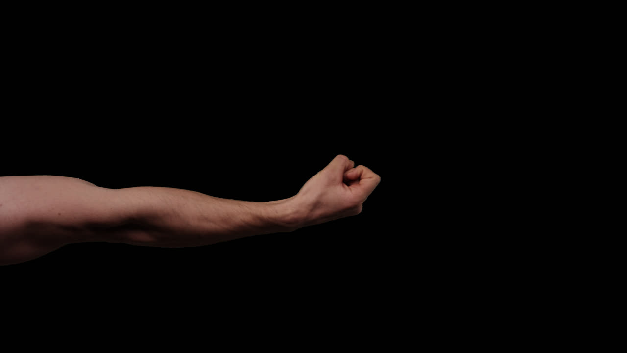 알파 채널에 대한 손의 제스처