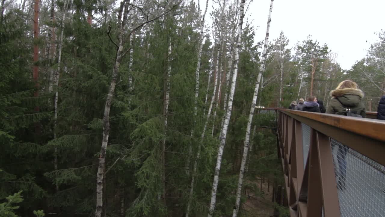 The group of tourists walking over the forest bridge
