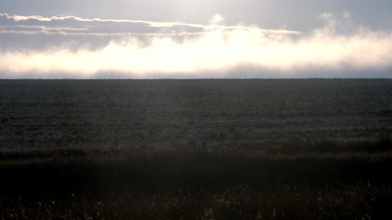스의 아침 평야 위에 안개가 있습니다.