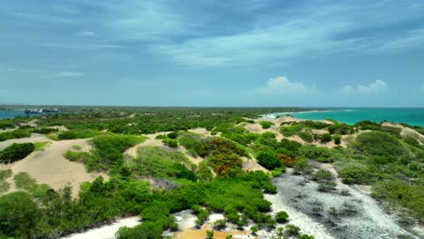 panoramic view of coastal sand dunes with lush tropical vegetation and ocean
