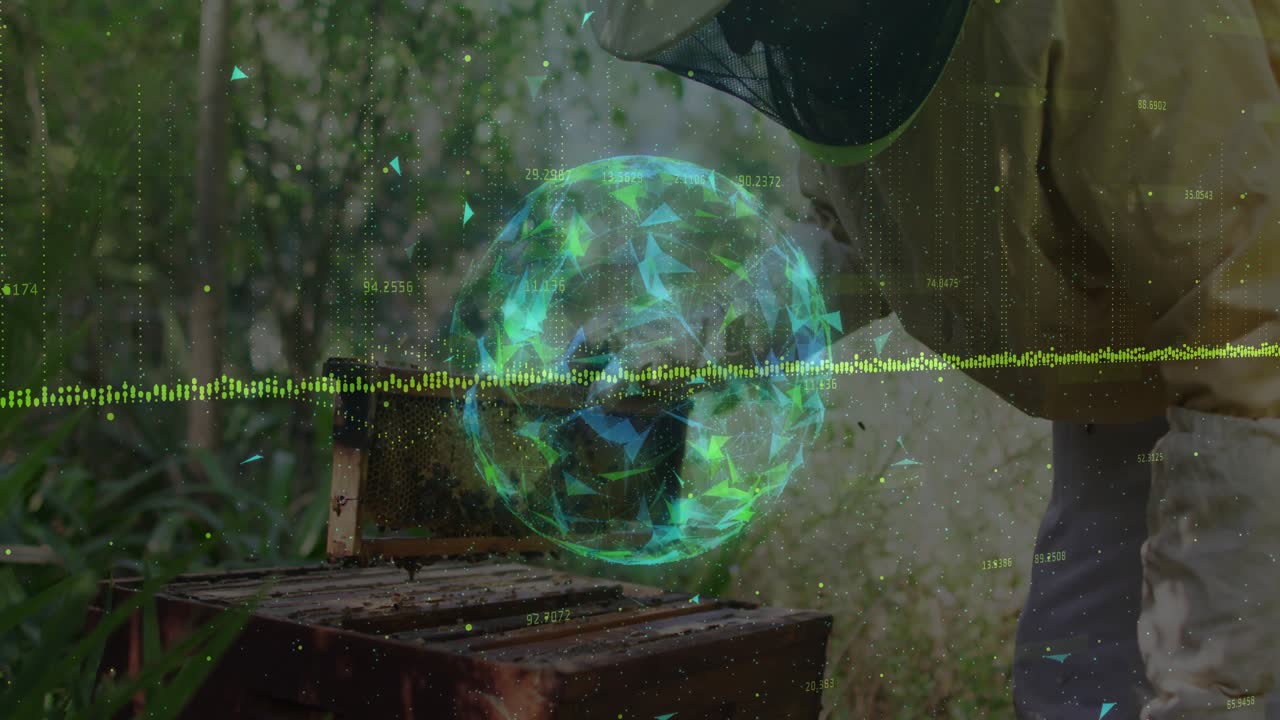 Male beekeeper using hive tool inspecting frames while hologram rippling monitoring hive with tech