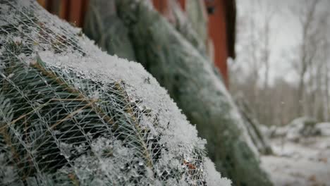 snowing on christmas trees at traditional market at xmas time