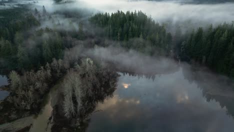 aerial view of secluded scenic lake and foggy trees at sunrise