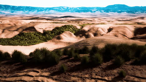 stoney desert in outback australia