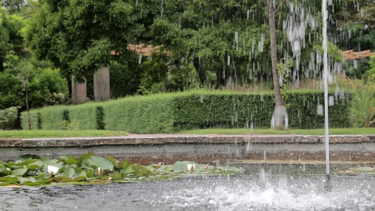 Medium shot of a refreshing garden fountain with water lilies, a serene and lush green backdrop, in slow-motion