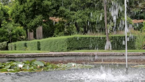 medium shot of a refreshing garden fountain with water lilies, a serene and lush green backdrop, in slow-motion