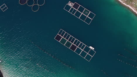 large fish farm in the mediterranean sea