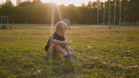 Curious-little-boy-picks-dandelion-sitting-on-lawn-grass