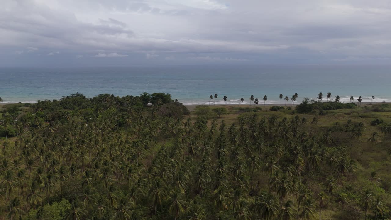 Aerial View Of The Sea With Coconut Trees In St Thomas