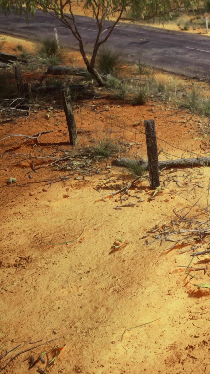 Paesaggio con terra secca vicino a una strada con pali di legno in un'area rurale