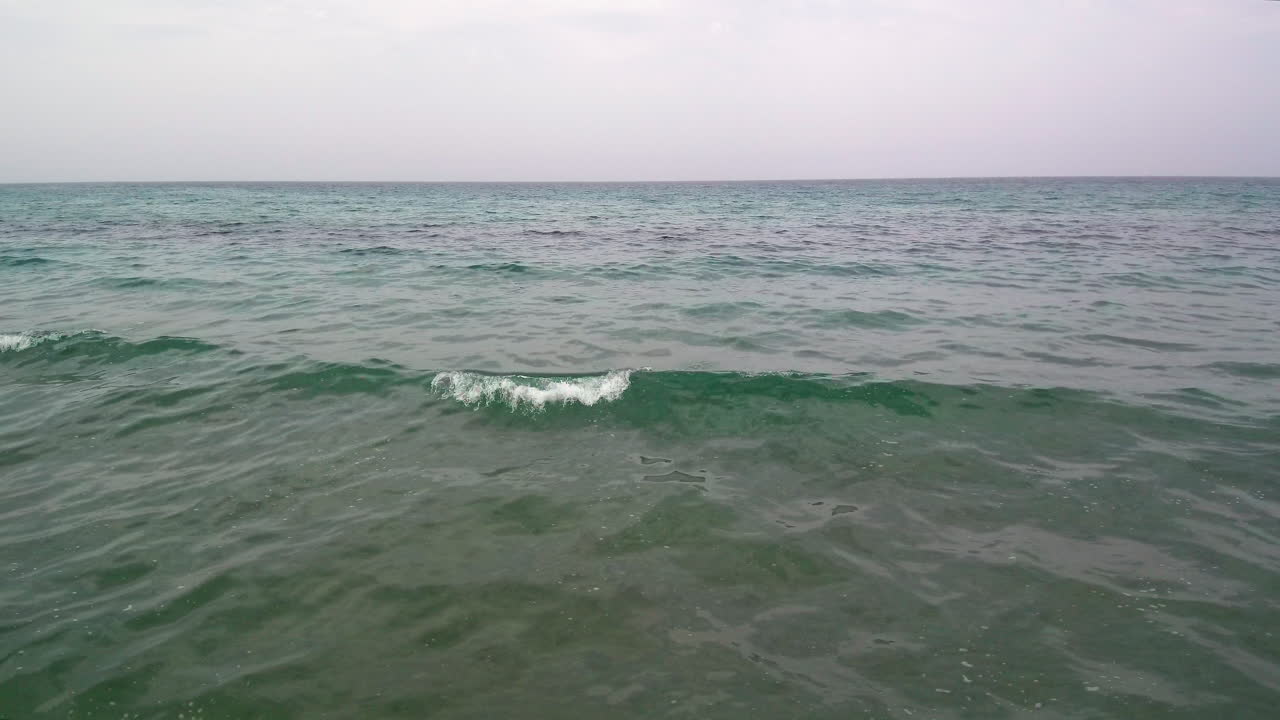 해안으로 향하는 광활한 바다 위의 작은 녹색 바다 물결을 추적하는 낮은 공중 후진 비행