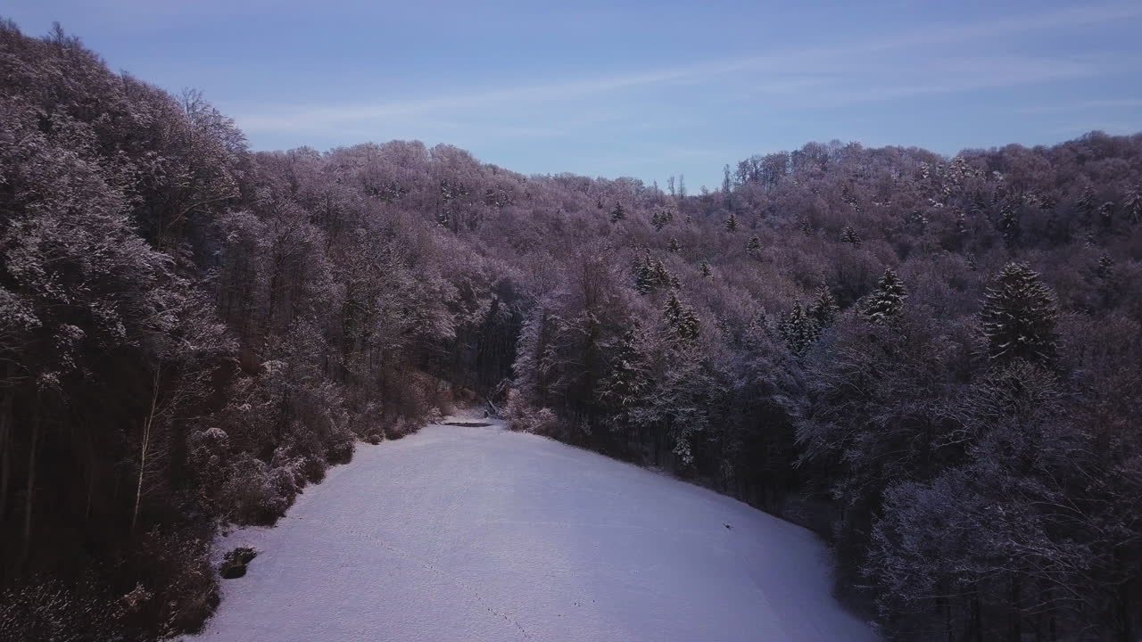 Sopra un campo di neve diretto verso una foresta