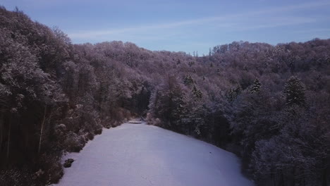 Sobre-Un-Campo-De-Nieve-Rumbo-A-Un-Bosque