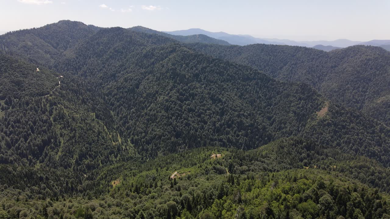 dron aéreo natural de montaña del bosque