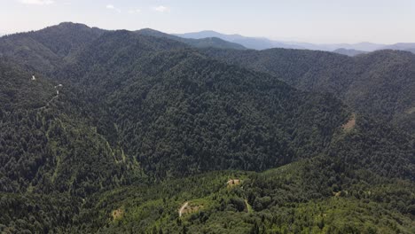 Forest-Mountian-Natural-Aerial-Drone