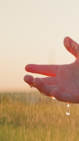 boy lifts palms welcoming rainfall. child feels sense of connection to earth as reminder of interconnectedness of all living things. delicate dance of nature