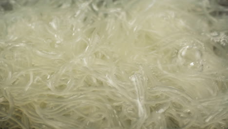 uncooked glass noodles