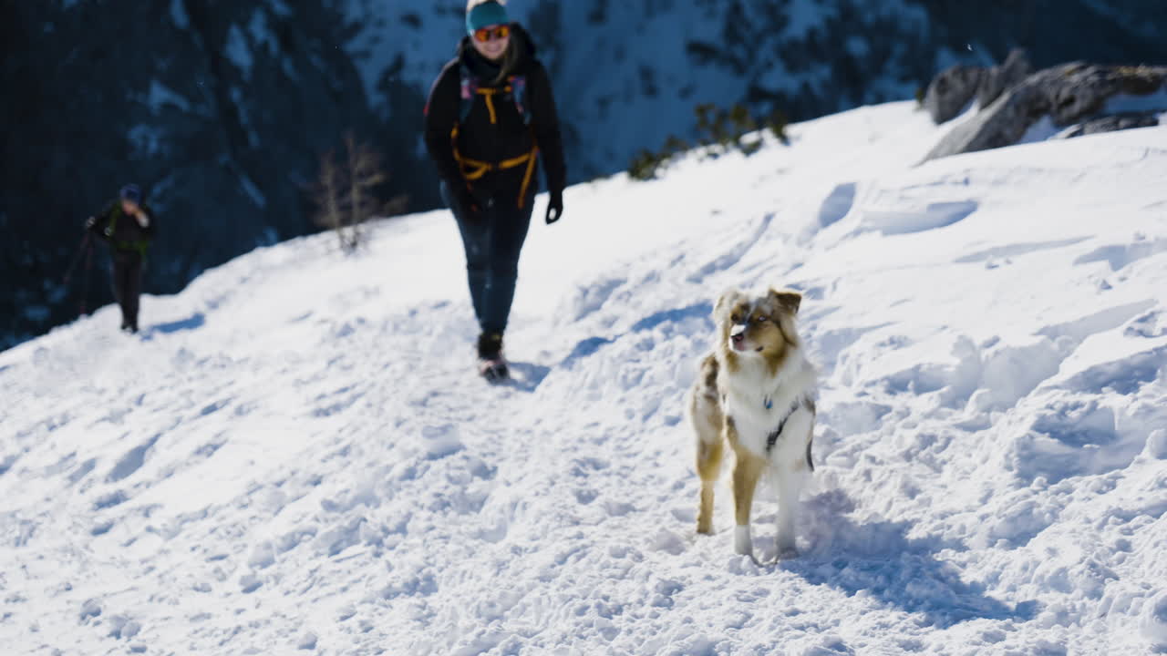 Woman and Dog Hiking in Snowy Mountains