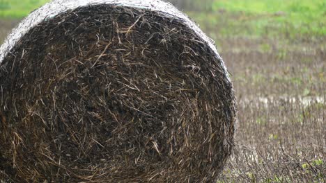 Straw-Bale-Left-On-Field,-Wet