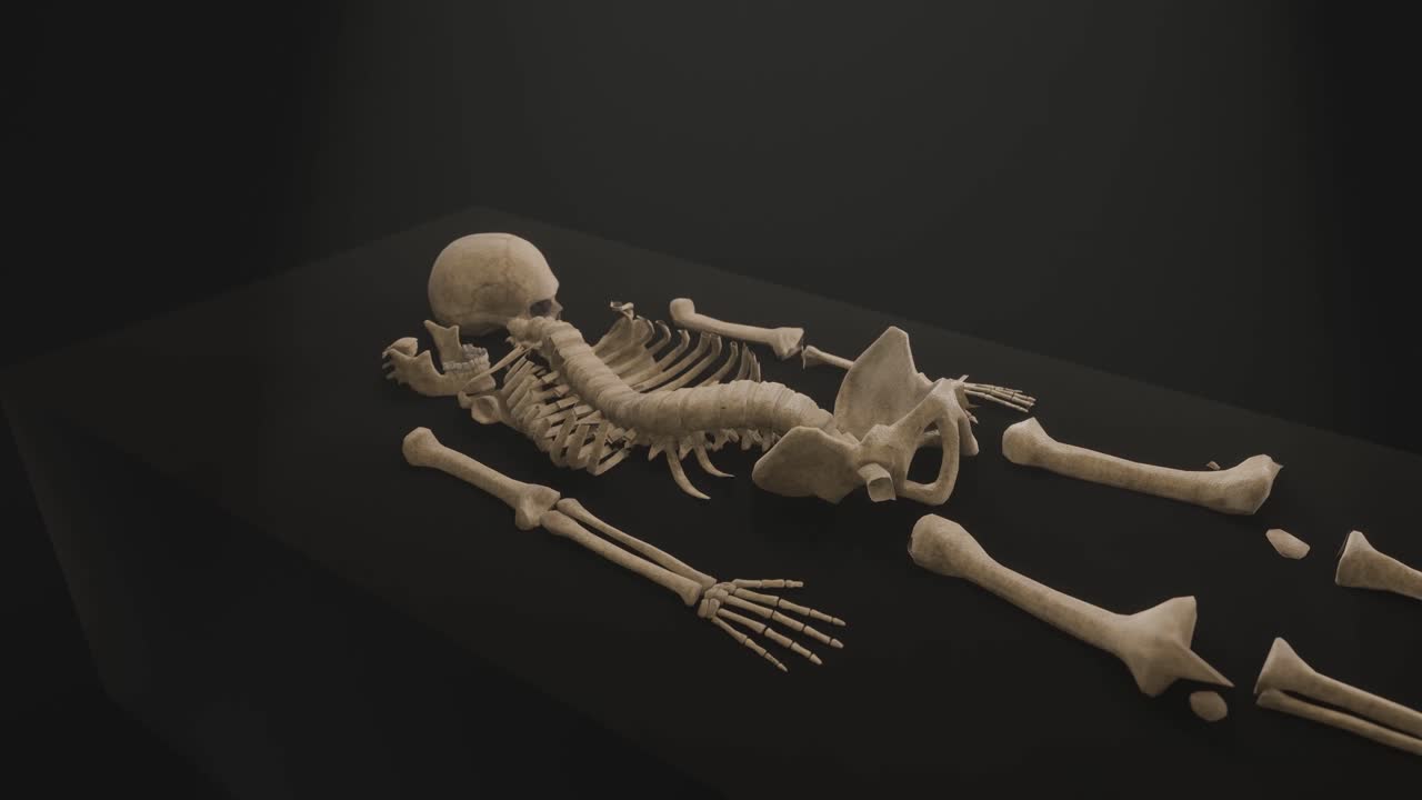 3D animation showing a skeleton being examined under a light