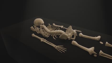 3d animation showing a skeleton being examined under a light