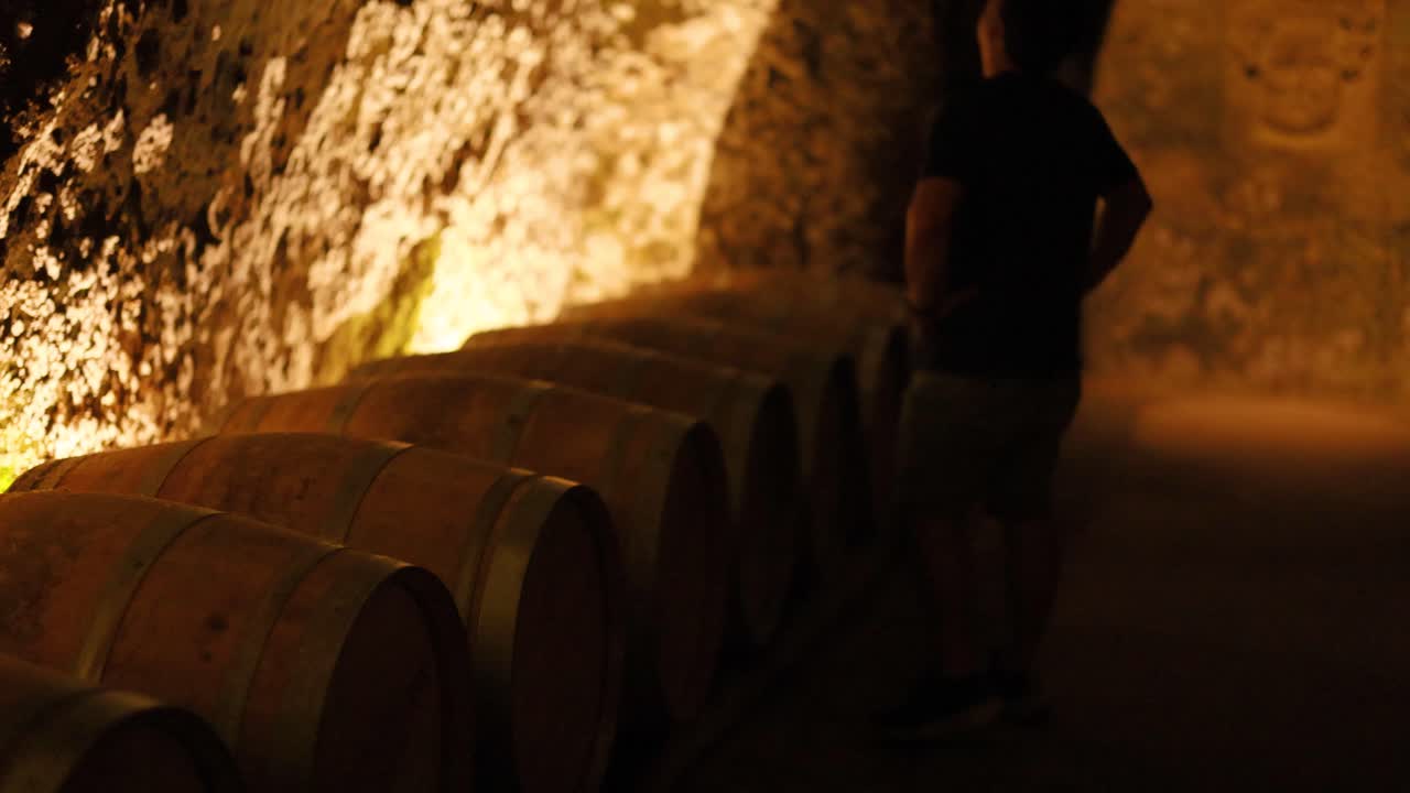 persona caminando a través de la bodega de vino histórica con barriles