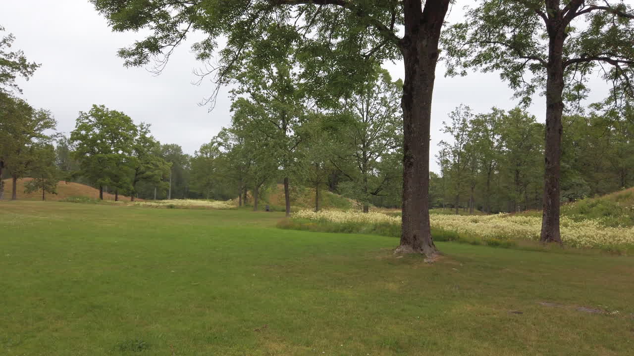 Borre mound cemetery are ancient Burial Mounds from the Viking period