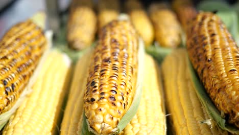 grilled corn on the cob